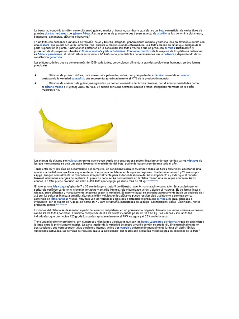 La Banana Plátano Guineo Maduro, Banano, Cambur o Gualele PDF