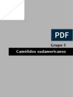 S Camelidossudamericano