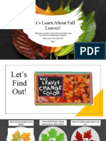 Let's Learn About Fall Leaves!