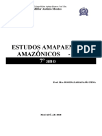 O diretório pombalino e a ocupação do Amapá