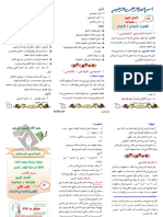 مطوية الأنماط النصية ج 02 PDF