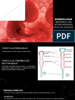 cervicalgia 