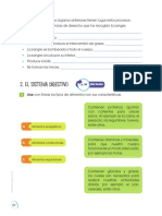 Órganos y procesos del sistema digestivo y respiratorio