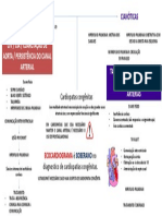 Cardiopátias Congentas