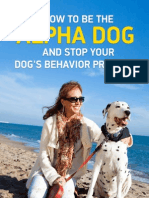 How To Be The Alpha Dog