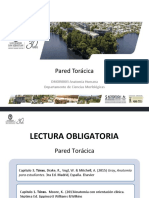 Clase 14 Pared Toracica - DMOR003