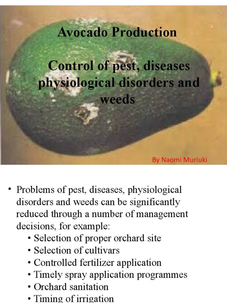 Integrated Pests and Disease Management of Avocado | PDF | Pest