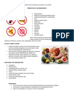 Alimentos equilibrados