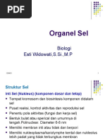 PPT Organel Sel