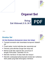 Organel Sel