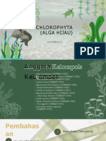 Kelompok 2 - Green Algae