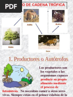 Materia y Energía en El Ecosistema