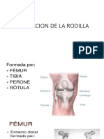 Evaluacion de La Rodilla