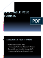 Executable File Formats