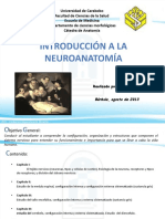 Introduccion A La Neuroanatomia