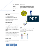 Introdução À Genética