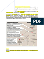 Bioquímica - Hormônios Esteroides