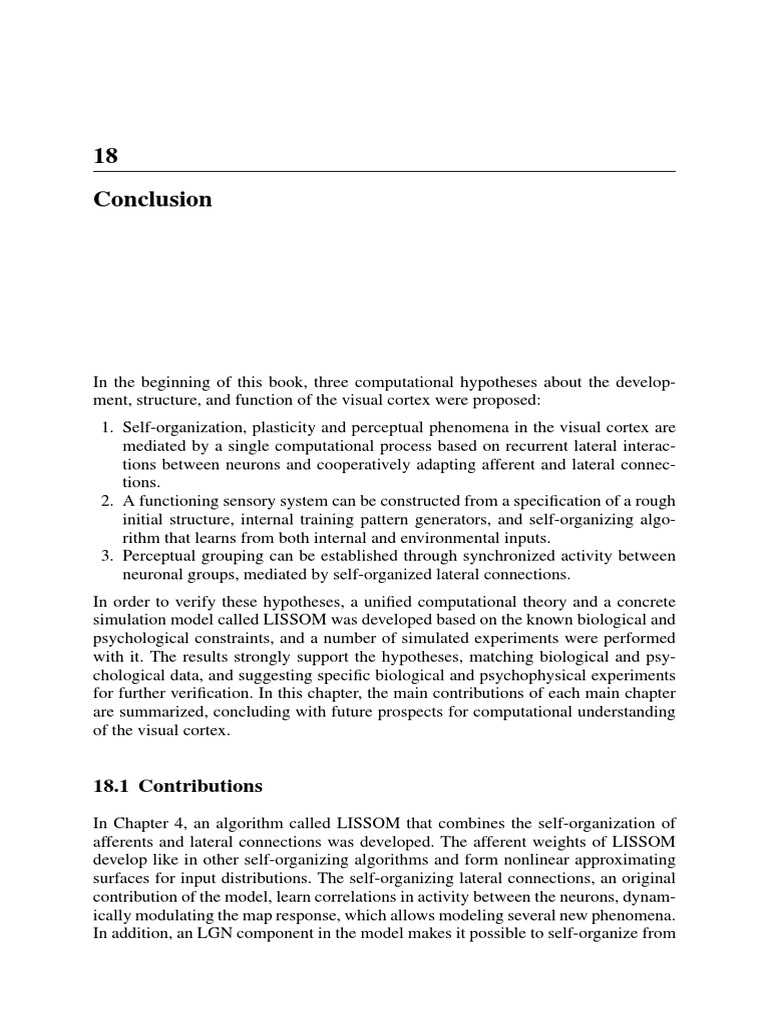 Computational Theory of Visual Cortex | PDF | Visual Cortex | Perception
