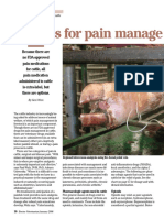 Options For Pain Manage Ment
