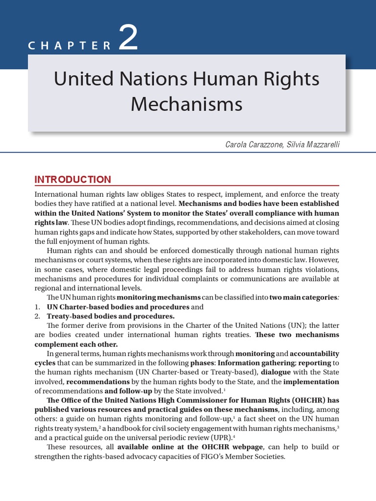 UN Human Rights Mechanisms Overview | PDF | Government | Human Rights