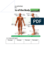 Lesson 1: Parts of The Body