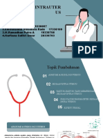 KLP 14 Intrauterus