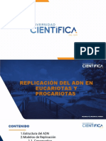 Replicacion Del Adn en Eucariotas y Pocariotas