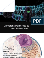 Aula 2- Membrana Plasmática