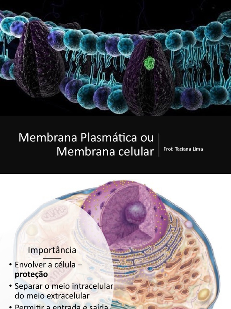 Estrutura e Funções da Membrana Plasmática | PDF | Membrana celular ...