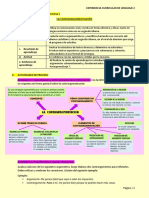 S7 GA-contraargumentacion