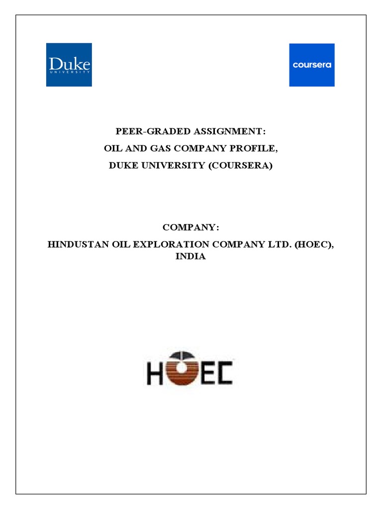 Oil and Gas Company Profile | PDF | Resource Extraction | Hydrocarbons