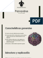 Parvovirus