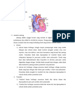 Anatomi Fisiologi Jantung dan Mitral Stenosis