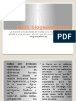 Ciclo Biogeoquímico