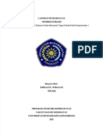 PDF LP Nefrolitiasis Compress