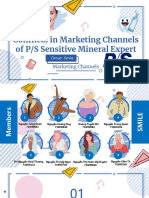 Conflicts in Marketing Channels of P/S Sensitive Mineral Expert