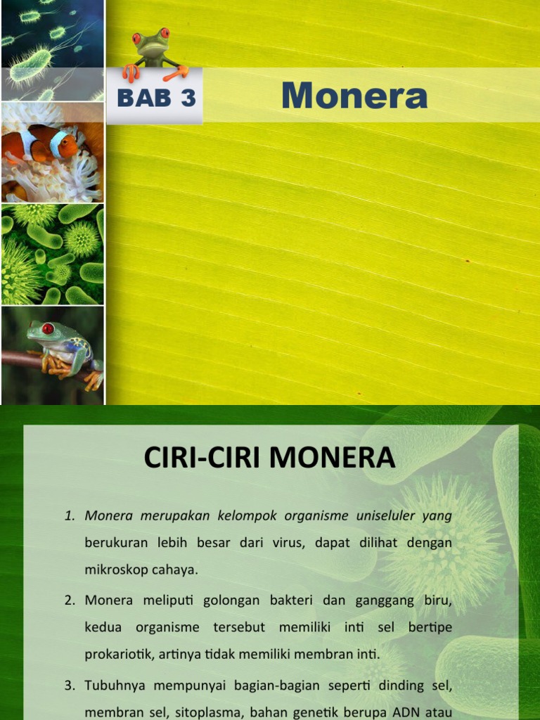 Ciri dan Klasifikasi Monera | PDF | Sains & Matematika