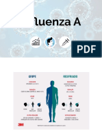 Influenza - Seminário