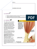 Unidad Temática 04. - Generalidades Del Músculo