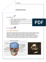 Unidad Temática 05.- Osteología cráneo