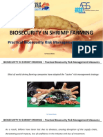 Biosecurity Risk Management in Shrimp Farming