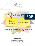 Cultura de Paz Direitos Humanos e Sustentabilidade Ebook