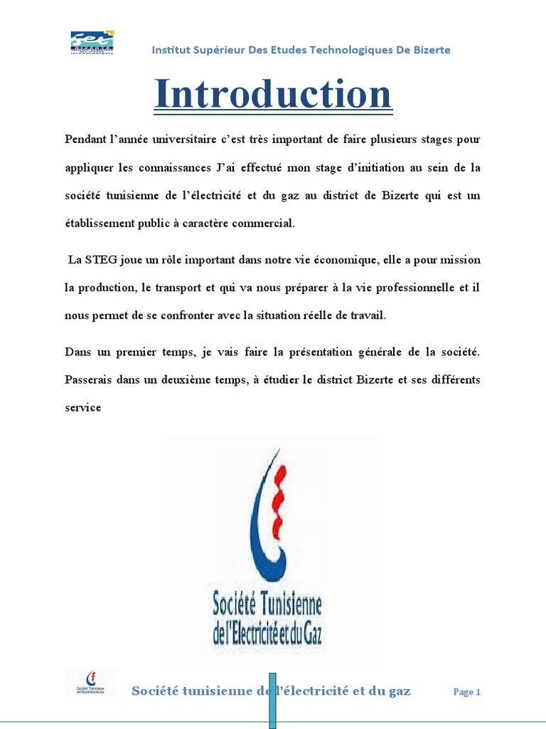 Rapport de Stage D'initiation Steg  PDF