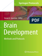 Brain Development 2021