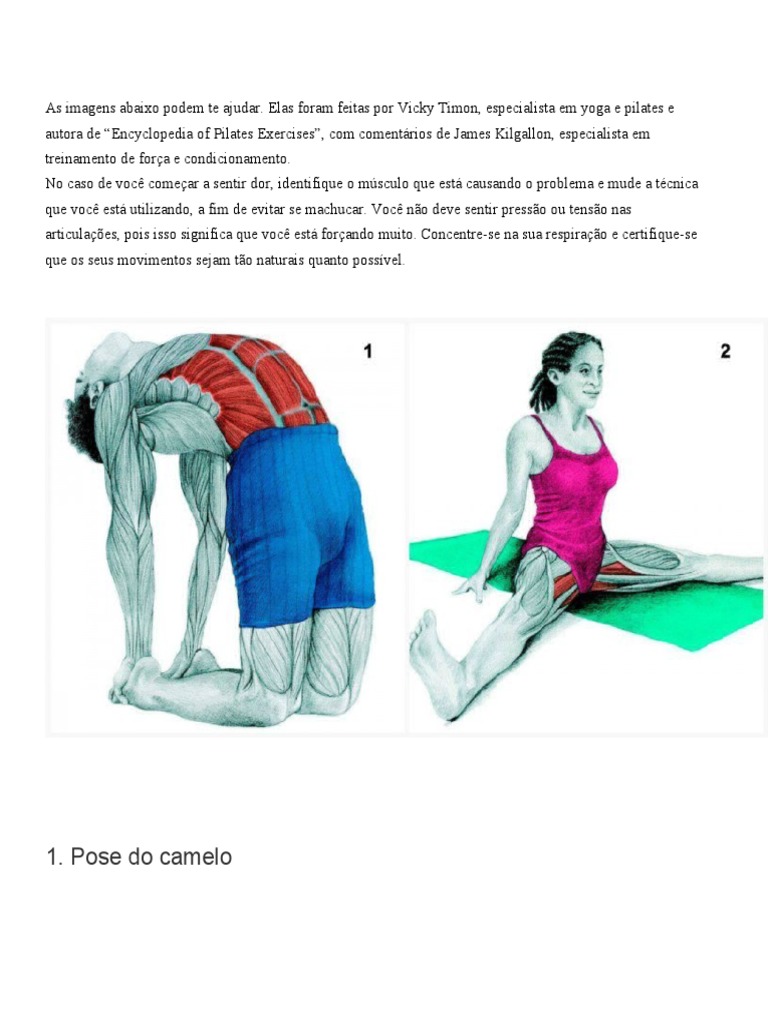 Guia Completo de Alongamentos Musculares | PDF | Pilates | Pressão, image size:768x1024