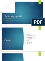 Proiect Geografie - 3state