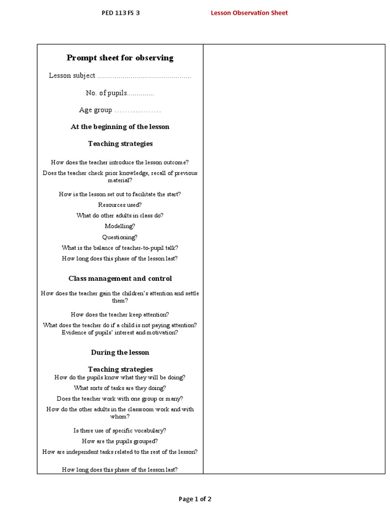 FS 3 Lesson Observation Guide | PDF | Teachers | Learning