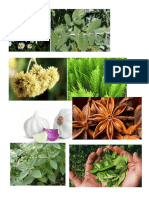 Plantas Medicinales