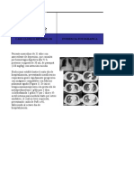 Actividad 4 Toxicologia