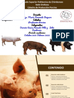 Producciòn porcina .pptx (1)